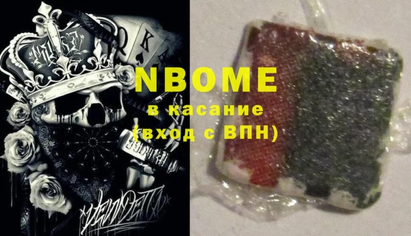 стаф Богданович