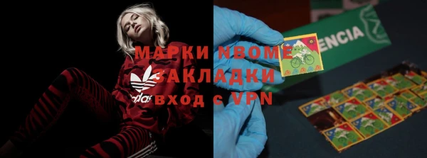стаф Богданович