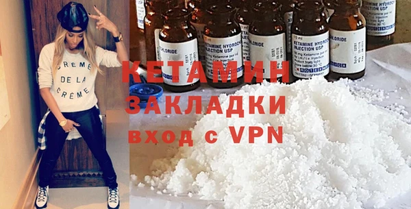 стаф Богданович
