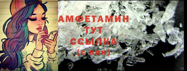стаф Богданович
