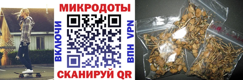 Псилоцибиновые грибы Psilocybine cubensis  сколько стоит  Медногорск 